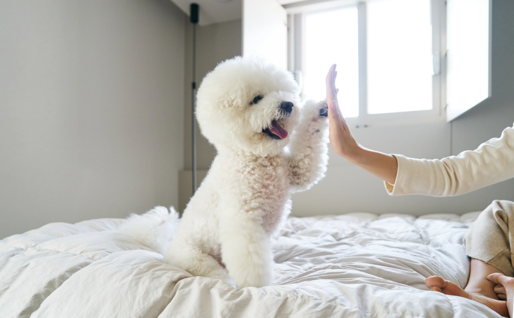 가장 많이 본 정보